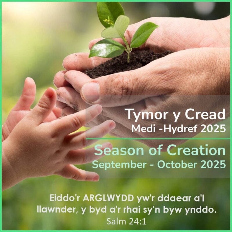 Tymor y Cread / Season of Creation
