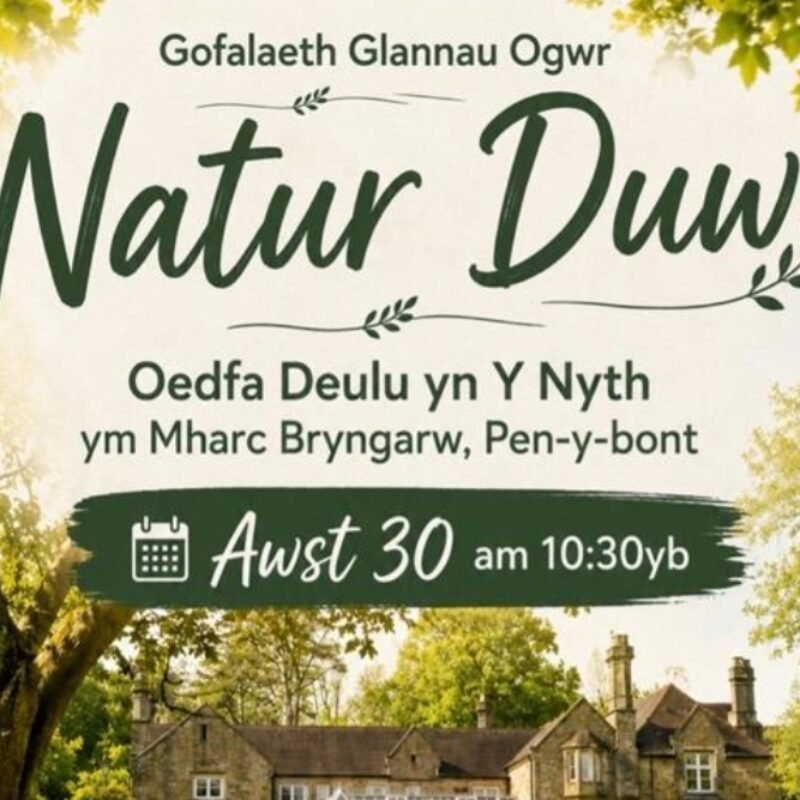 Oedfa Deulu / Family Service